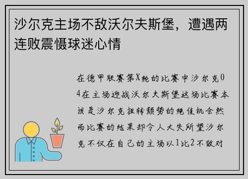 沙尔克主场不敌沃尔夫斯堡，遭遇两连败震慑球迷心情